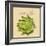 Italian Vegetable VIII-Vision Studio-Framed Premium Giclee Print