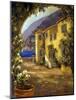 Italian Villa I-Allayn Stevens-Mounted Art Print