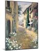 Italian Villa II-Allayn Stevens-Mounted Art Print