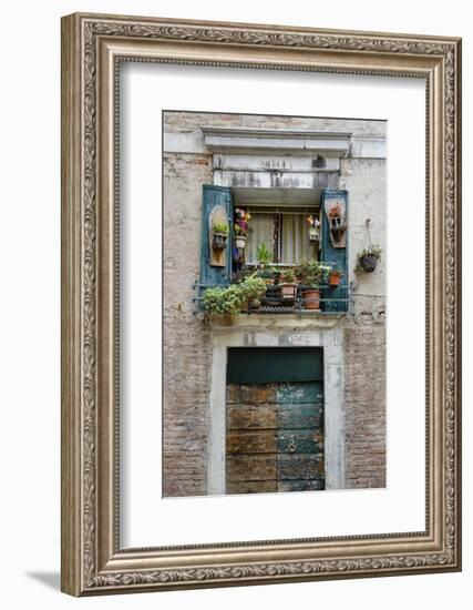 Italian Window Flowers I-Laura DeNardo-Framed Photographic Print