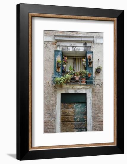 Italian Window Flowers I-Laura DeNardo-Framed Photographic Print