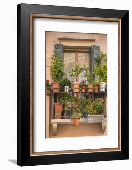 Italian Window Flowers III-Laura DeNardo-Framed Photographic Print