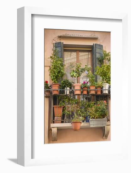 Italian Window Flowers III-Laura DeNardo-Framed Photographic Print