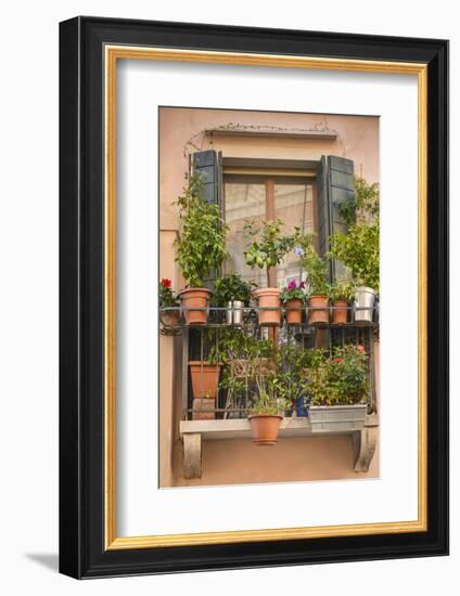 Italian Window Flowers III-Laura DeNardo-Framed Photographic Print