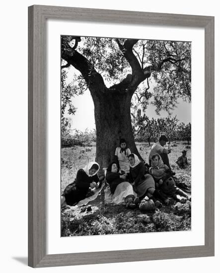 Italian Women in Southern Italy Resting in Olive Grove-null-Framed Photographic Print
