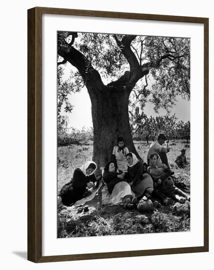 Italian Women in Southern Italy Resting in Olive Grove-null-Framed Photographic Print