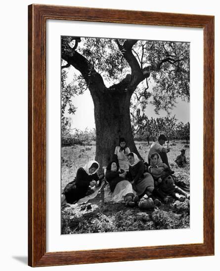 Italian Women in Southern Italy Resting in Olive Grove-null-Framed Photographic Print