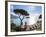 Italy, Amalfi Coast, Ravello, Villa Rufolo-Michele Falzone-Framed Photographic Print