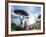 Italy, Amalfi Coast, Ravello, Villa Rufolo-Michele Falzone-Framed Photographic Print