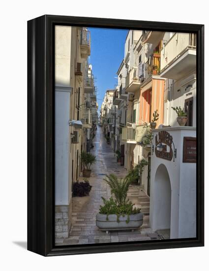 Italy, Apulia, Foggia, Vieste. A picturesque alley in Vieste old town.-Julie Eggers-Framed Premier Image Canvas