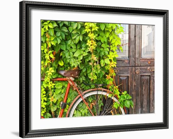 Italy, Apulia, Lecce District, Salentine Peninsula, Salento, Otranto, Street-Francesco Iacobelli-Framed Photographic Print