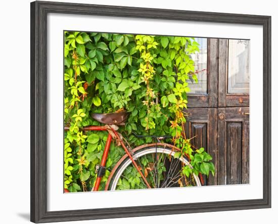 Italy, Apulia, Lecce District, Salentine Peninsula, Salento, Otranto, Street-Francesco Iacobelli-Framed Photographic Print