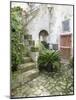 Italy, Basilicata, Matera. Plants adorn the outside walls of the Sassi houses.-Julie Eggers-Mounted Photographic Print