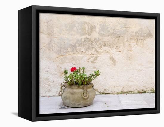 Italy, Basilicata, Matera. Potted plants outside the Sassi houses.-Julie Eggers-Framed Premier Image Canvas