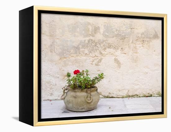 Italy, Basilicata, Matera. Potted plants outside the Sassi houses.-Julie Eggers-Framed Premier Image Canvas