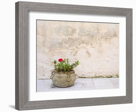 Italy, Basilicata, Matera. Potted plants outside the Sassi houses.-Julie Eggers-Framed Photographic Print