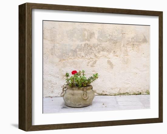 Italy, Basilicata, Matera. Potted plants outside the Sassi houses.-Julie Eggers-Framed Photographic Print