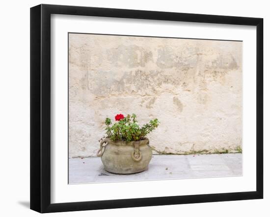 Italy, Basilicata, Matera. Potted plants outside the Sassi houses.-Julie Eggers-Framed Photographic Print