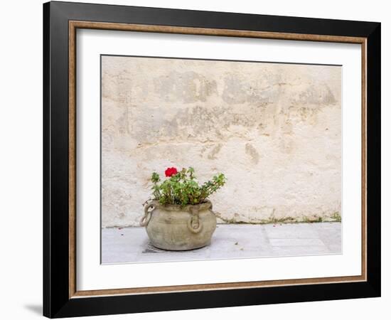 Italy, Basilicata, Matera. Potted plants outside the Sassi houses.-Julie Eggers-Framed Photographic Print