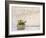 Italy, Basilicata, Matera. Potted plants outside the Sassi houses.-Julie Eggers-Framed Photographic Print