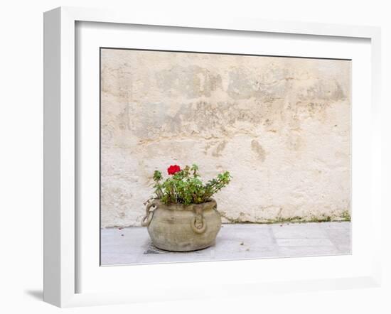 Italy, Basilicata, Matera. Potted plants outside the Sassi houses.-Julie Eggers-Framed Photographic Print