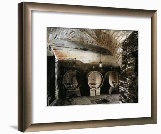 Italy, Brescia, Castle of Bornato, Wine Cellar-null-Framed Giclee Print