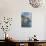 Italy, Cinque Terre, Manarola-Rob Tilley-Photographic Print displayed on a wall