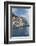 Italy, Cinque Terre, Manarola-Rob Tilley-Framed Photographic Print