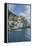 Italy, Cinque Terre, Manarola-Rob Tilley-Framed Premier Image Canvas