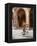 Italy, Emilia Romagana-Ken Scicluna-Framed Premier Image Canvas