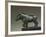 Italy, Emilia-Romagna, Velleia, Statuette Representing a Wild Boar, Bronze-null-Framed Giclee Print