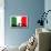 Italy Flag And Silhouettes-bioraven-Mounted Art Print displayed on a wall