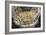 Italy. Florence. Dome of Brunelleschi. Last Judgement, by Giorgio Vasari and Zuccari-Giorgio Vasari-Framed Giclee Print