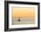 Italy, Friuli Venezia Giulia, Trieste, Boat at Sunset-Andrea Pavan-Framed Photographic Print