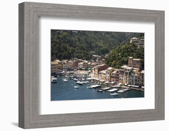 Italy, Genoa province, Portofino. Fishing village on the Ligurian Sea, overlooking harbor-Alan Klehr-Framed Photographic Print