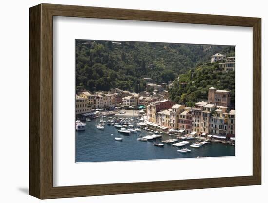 Italy, Genoa province, Portofino. Fishing village on the Ligurian Sea, overlooking harbor-Alan Klehr-Framed Photographic Print