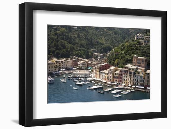 Italy, Genoa province, Portofino. Fishing village on the Ligurian Sea, overlooking harbor-Alan Klehr-Framed Photographic Print