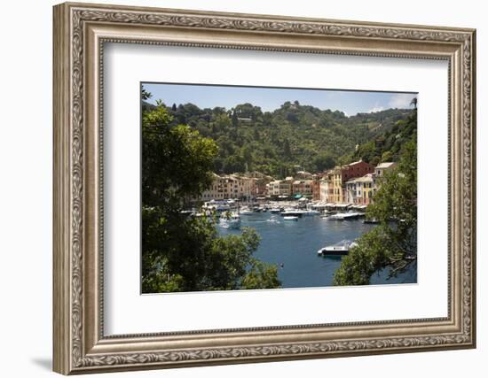 Italy, Genoa province, Portofino. Fishing village on the Ligurian Sea, overlooking harbor-Alan Klehr-Framed Photographic Print