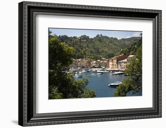 Italy, Genoa province, Portofino. Fishing village on the Ligurian Sea, overlooking harbor-Alan Klehr-Framed Photographic Print