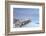 Italy, Italia. Apulia, Puglia, Foggia district. Gargano, Vieste. Old town and Punta di San Francesc-Francesco Iacobelli-Framed Photographic Print