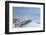 Italy, Italia. Apulia, Puglia, Foggia district. Gargano, Vieste. Old town and Punta di San Francesc-Francesco Iacobelli-Framed Photographic Print