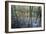 Italy, Latium, Circeo National Park, Selva Di Circe, Lake-null-Framed Giclee Print