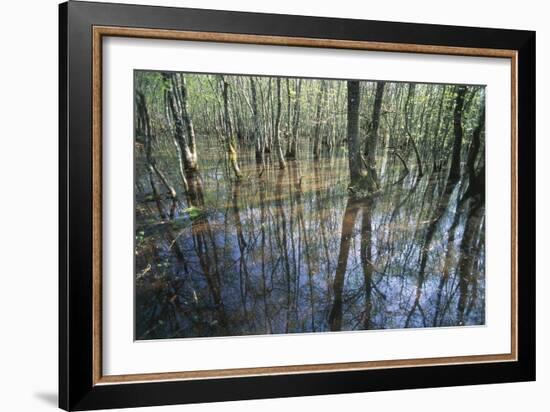 Italy, Latium, Circeo National Park, Selva Di Circe, Lake-null-Framed Giclee Print