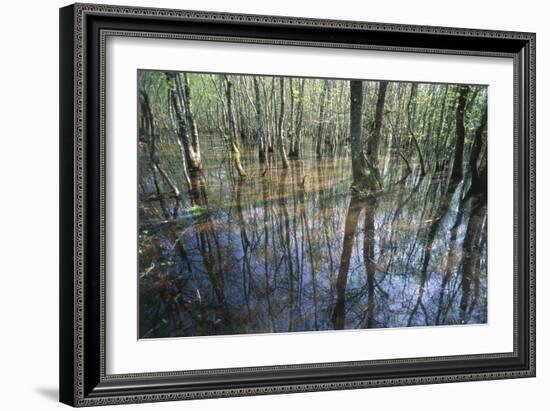 Italy, Latium, Circeo National Park, Selva Di Circe, Lake-null-Framed Giclee Print