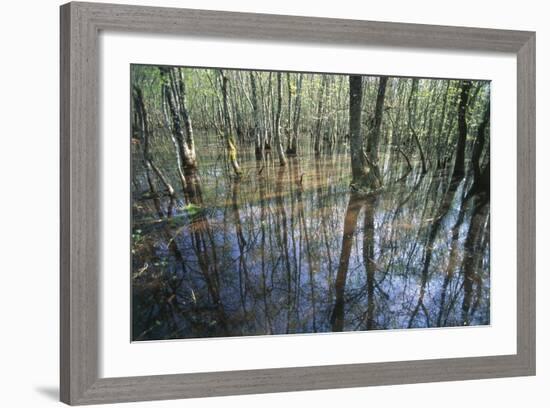 Italy, Latium, Circeo National Park, Selva Di Circe, Lake-null-Framed Giclee Print