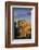 Italy, Lazio, Rome, the Colosseum-Jane Sweeney-Framed Photographic Print