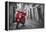 Italy, Lazio, Rome, Trastevere, Red Vespa-Jane Sweeney-Framed Premier Image Canvas