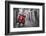 Italy, Lazio, Rome, Trastevere, Red Vespa-Jane Sweeney-Framed Photographic Print