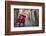 Italy, Lazio, Rome, Trastevere, Red Vespa-Jane Sweeney-Framed Photographic Print