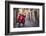 Italy, Lazio, Rome, Trastevere, Red Vespa-Jane Sweeney-Framed Photographic Print